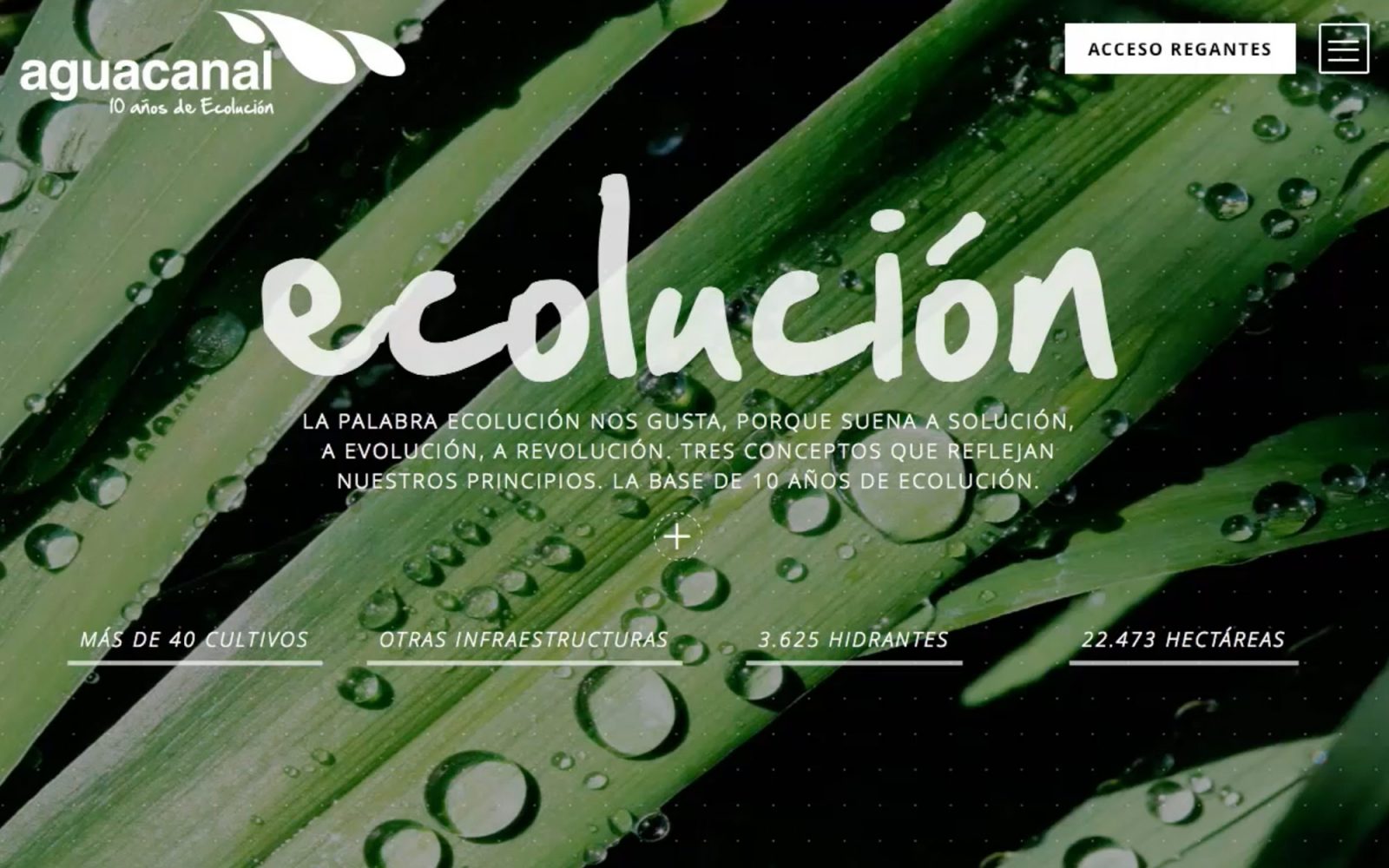 Web para Aguacanal