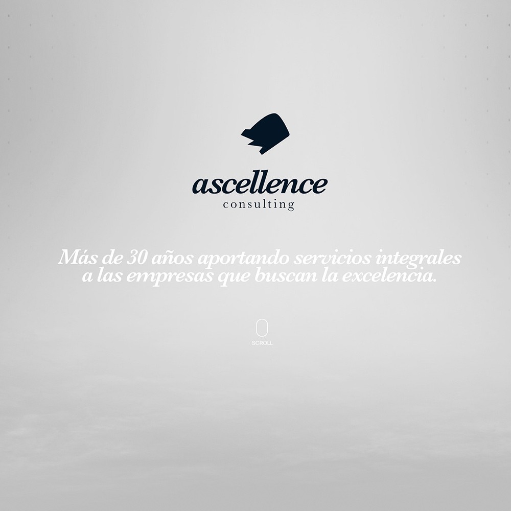 Marca y web de Ascellence