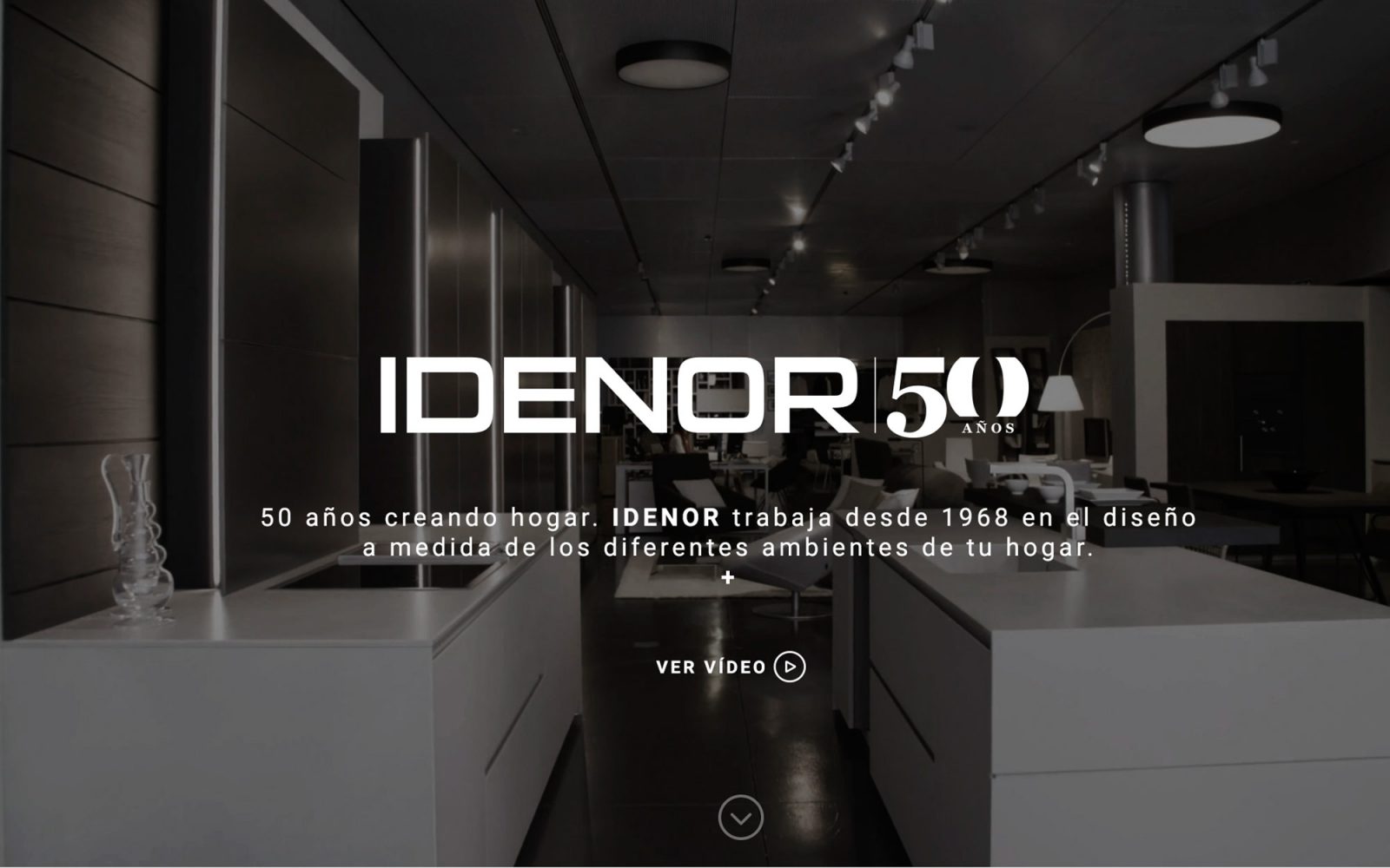 Web de Idenor