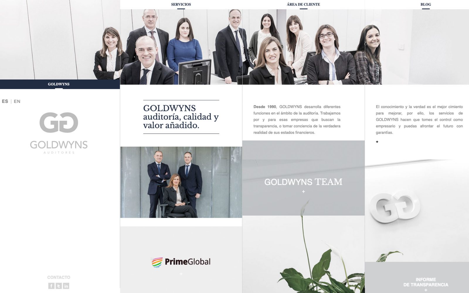 Web corporativa para Goldwyns