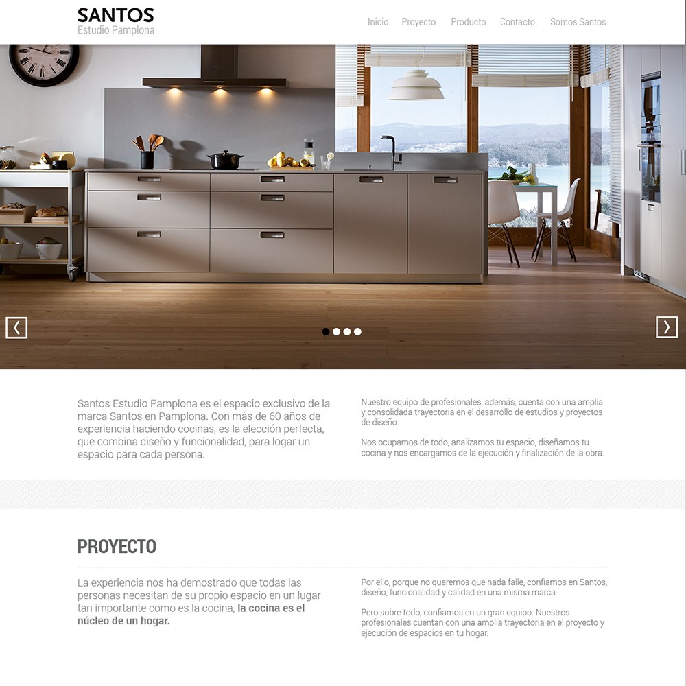 Web para Santos de Idenor