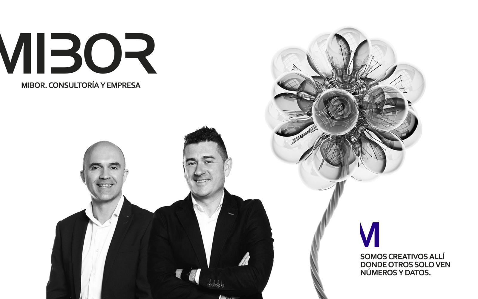 Mibor Asesores