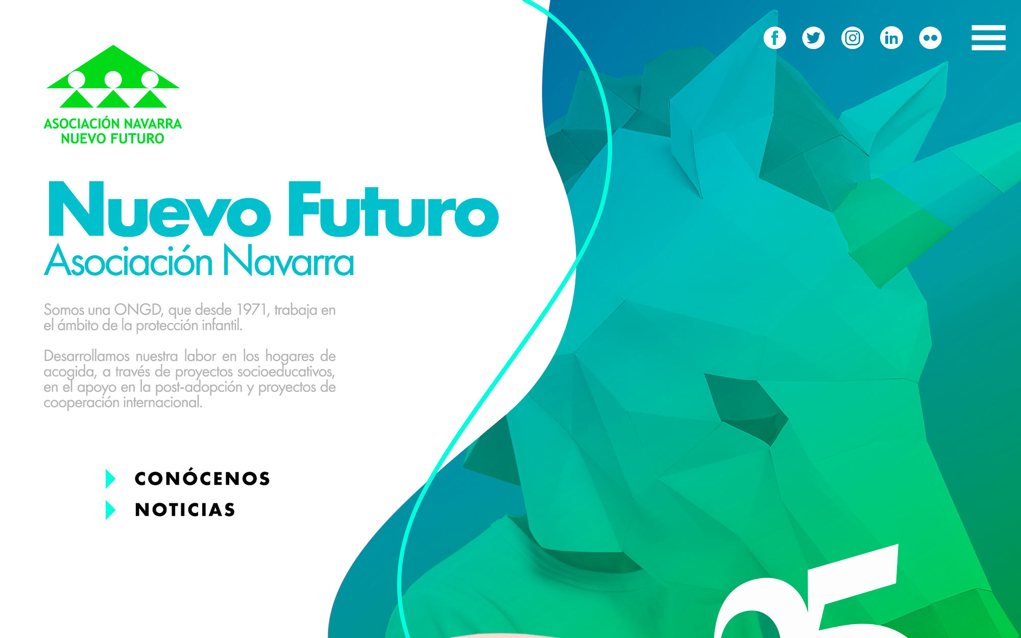 Página web para la Asociación Navarra Nuevo Futuro