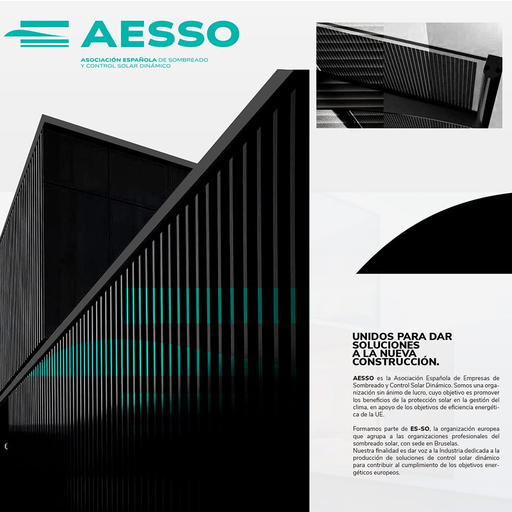 Marca y web para AES-SO